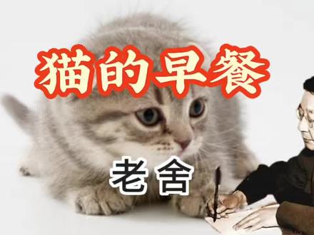 散文诵读《猫的早餐》 作者/老舍
#读书分享 #猫咪 #萌宠 #猫和老鼠 #原创作品