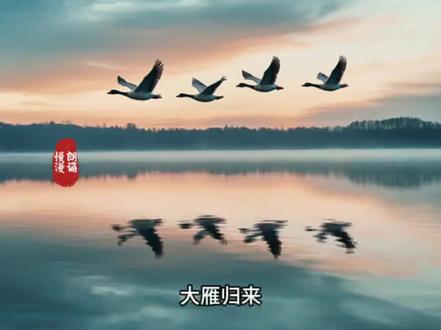 七上语文|第19课|大雁归来 #文字的魅力#原声分享