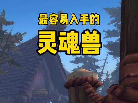 #魔兽世界 最容易入手的灵魂兽来辣!猎人们快去抓一只吧~