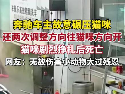 奔驰车主故意碾压猫咪,甚至两次调整方向往猫咪方向开。