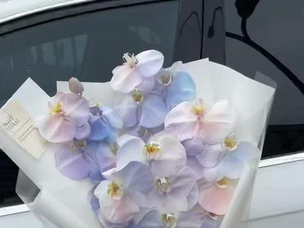 马卡龙蝴蝶兰教程来咯,高级和美腻的共同体,把它分享给你呀,祝你幸福#蝴蝶兰 #富阳花店 #蝴蝶兰花束 #马卡龙蝴蝶兰花束