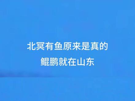 原来北冥有鱼居然是真的,“其名为鲲,化而为鸟,其名为鹏”#强烈推荐 #抖音看世界 #安徽小丰