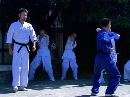 #李小龙 #咏春拳 #截拳道 @DOU+小助手 #我的观影报告