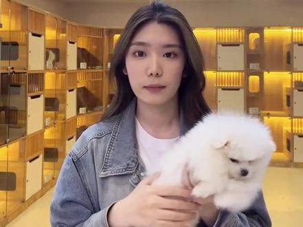 郑州办犬证只看这条视频就够了,需要准备的东西有爱犬、爱犬正侧照,
疫苗本、免疫信息证明,
犬主户口本首页和本人页、身份证,
外地户口还要居住证、购房或租房合同,
去附近网点提交材料后,注射芯片,等待犬证审核。#狗证 #狗证办理 #犬证 #花生宠物 #宠物