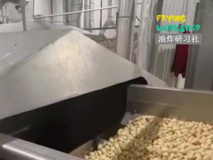 美国SEVVAL脱皮花生油炸生产线 #脱皮花生 #脱油花生 #油炸生产线 #油炸机 #油炸研习社