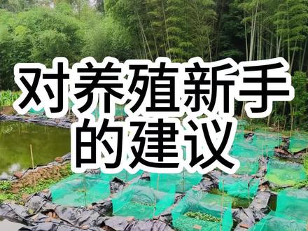 给对想做黄鳝养殖的网友一些建议#黄鳝