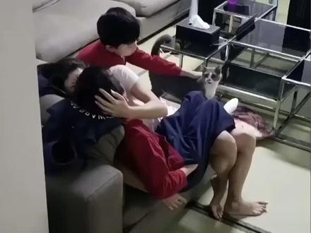 好温馨的画面#张柏芝谢霆锋 儿子#谢振轩谢振南