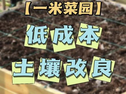 一米菜园土壤改良,厚土堆肥法,哈哈哈哈我大概是血脉觉醒了,种菜果然是刻在我DNA里的#堆肥发酵 #一米菜园 #三农 #花园生活