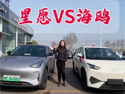 续航300多公里的吉利星愿和比亚迪海鸥你更喜欢哪款呢?#吉利星愿 #比亚迪海鸥