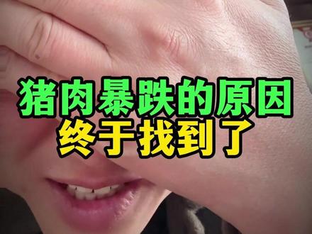 终于知道猪肉暴跌的原因了#所有养猪人 #猪价行情 #养猪人加油干 #猪肉 #猪价