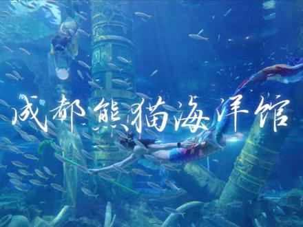 成都新晋遛娃地,结合了儿童乐园➕海洋乐园➕萌宠乐园,每天还有各种表演,游玩全面太丰富了!#成都熊猫海洋公园 #我的五一假期尽兴式 #成都周末遛娃好去处推荐 #五一节去哪玩 #约会遛娃好去处
