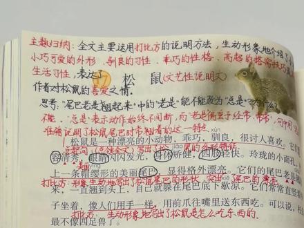 #五年级上册语文 五年级上册语文《松鼠》考点