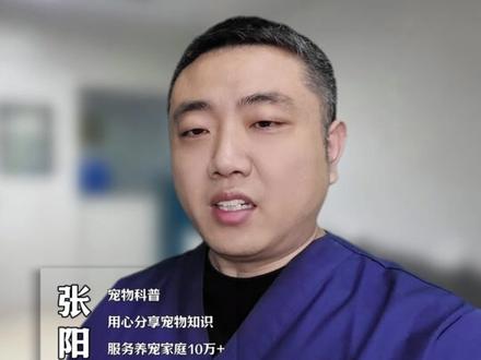 养狗一定要知道的两不喂三多吃 #养狗经验分享 #养狗小知识 #狗狗不同阶段怎么喂养 #狗狗吃饭 #宠物狗饮食注意事项