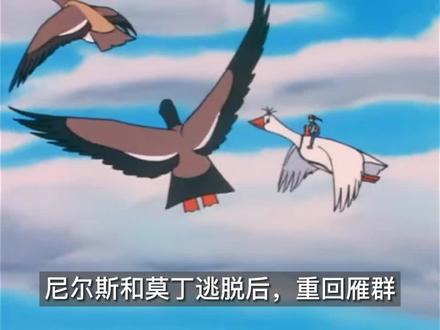 六年级下册必读书目《尼尔斯骑鹅旅行记》二 #必读书目 #六年级语文 #阅读书单 #童年 #诺贝尔文学奖