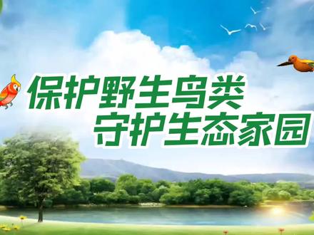 保护野生鸟类,守护生态家园