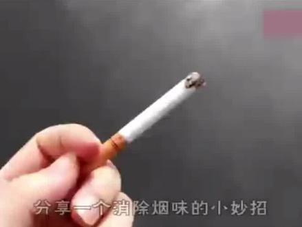 抽烟满屋子都是烟味很难闻?教你一招1分钟快速去除烟味#生活小妙招每日更新 #实用小妙招