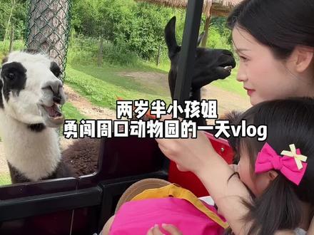 安心看见一群动物就开始指,他的爸爸 他的妈妈 他的你,在她的世界里,一家三口才完美👧🏻
#我的女儿#全职妈妈#动物园里有什么 #一家三口