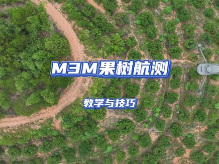 简单易上手,航测效率高,M3M果树大坡度仿地航测教学。#大疆 #植保无人机 #抖音新农人2022 @DJI大疆农业 @大疆慧飞程忠义