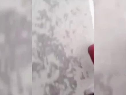 盘点鬼火少年翻车名场面:鬼火一响爹妈白养 机车一翘阎王就笑 #鬼火少年 #翻车 #名场面 #我要上热门