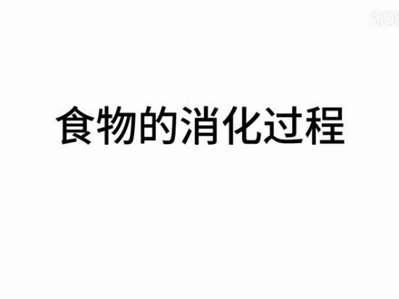 【生物动画】食物的消化过程