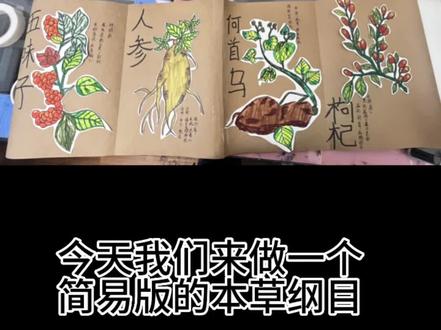 简易版本的本草纲目