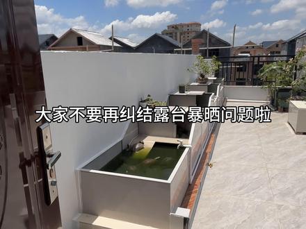 夏季炎热的高温下,室外露台到底可以养龟吗? 一个视频告诉你答案!#露台养龟 #龟宠时代 #养龟人 #养龟日常 #龟龟🐢