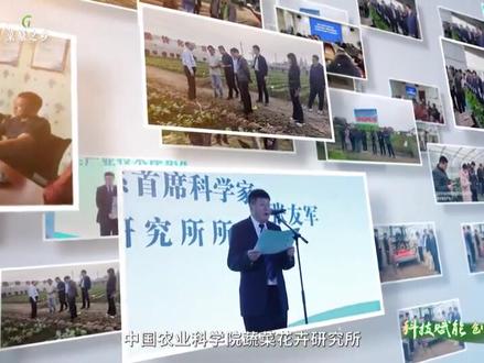 安乡县“五个一”产业链宣传片之一:水乡菜薹鲜