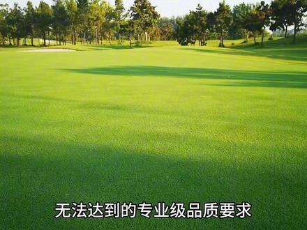 华东地区如何选择好看、好养、长不高、少修剪、四季常青的草坪品种#草坪 #园林绿化 #庭院景观