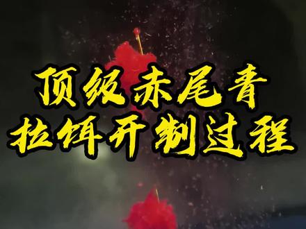 顶级赤尾青拉饵开制过程#饵料 #鱼饵制作 #钓鱼那些事