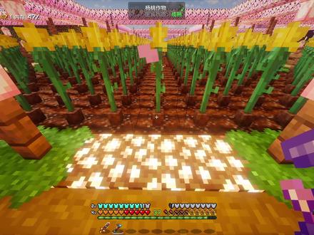 杨桃大丰收~ #我的世界#星露谷物语