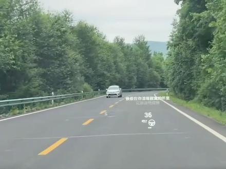 虎口脱险!男子骑摩托车自驾遇东北虎,仅相距10多米 【7月2日,吉林延边,刘先生在331国道上骑摩托车自驾,路边突然窜出一只东北虎,其他车辆的乘客拍下这惊险一幕。刘先生表示,老虎之前就在路边溜达,他远远看着一团黄色,离近了才惊觉是老虎。“我骑的是摩托车,掉头又不行,停下来更加不可以。”幸好双方相距不到20米时,老虎跑回了树林中,刘先生顺势通过。然而仅仅约5秒后,老虎就又从树林中窜了出来,刘先生通过后视镜观察到了老虎身影。
据悉,刘先生是广州人,经常去无人区自驾,见过狼、熊等野生动物,之前还被藏獒追过。“当时其实不是害怕,觉得还有点兴奋。”刘先生笑称,“现在想起来挺后怕的,如果它扑过来我真的没办法躲开。”另据延边晨报报道,拍摄地点位于珲春市春化镇河东村附近。】