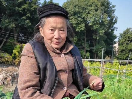 姑婆苦了大半辈子,想不到老了竟然被这样欺负 视频来源:@郑冬 #养老钱 #恶人先告状 #正义