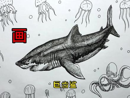 手绘鲨鱼教程、教你如何画鲨鱼、巨齿鲨篇#画画 #手绘 #绘画过程 #巨齿鲨 #恐龙