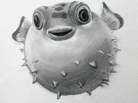 20秒教你画河豚 超简单哦 #素描教程 #素描入门#零基础学画画@DOU+小助手