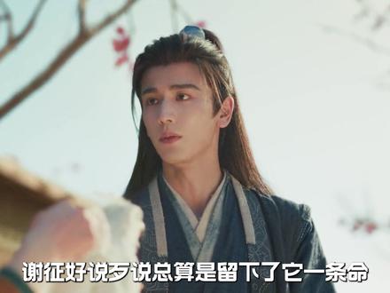 复盘《逐玉》没人发现的五个细节! 导演早就把谢征和樊长玉的感情递进,藏在了这些镜头语言里!剧情发展到现在,谢征和长玉已经互相爱上了,否则也就不会有那个深夜的陈皮糖吻,可是谢征觉得现在不是时机,会连累长玉,长玉也觉得因为自己身世的原因,会连累谢征,连时机都在为了对方着想,你俩真的别太爱了!#逐玉 #张凌赫 #田曦薇 #了不起的精讲团 #影娱漫谈编辑部