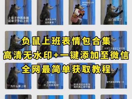 《月白精选》负鼠表情包,真的很迷哈哈哈 #负鼠表情包 #负鼠 #鼠鼠表情包 #鼠鼠我呀#弱小可怜又无助 #忧郁负鼠表情包#鼠鼠表情包 #鼠鼠我呀#像极了我的精神状态 #全身上下都是反骨 #盆友你放心 #负鼠表情包 #打工人的精神状态