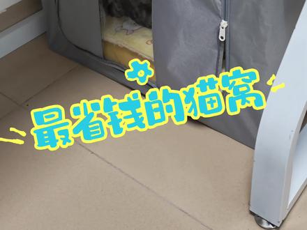 该省省该花花,小猫省钱给我花#猫窝制作 #省钱技巧 #手工猫窝