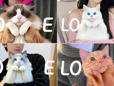 宠物love拍照教程来了!#即梦 AI #love #love拍照#萌宠live #ove 拍照教程 宠物love拍照 ai特效教程 宠物 love特效教程 宠物 loveai特效 宠物 love手指p图教程
宠物 love拍照教程 宠物 love手势 宠物love写真教程
宠物love拍照姿势 宠物ai特效 宠物love特效制作方
法宠物love ai特效 宠物love ai特效 宠物 love特效教
程宠物 love 宠物love ai制作方法 宠物love特效制作
方法宠物ai特效 宠物love特效手勢教程 ai日系情书合影教宠物love 特效模板 love 宠物特效 宠物love ai特效
宠物ai特效 宠物love特效手勢教程 ai日系情书合影
教宠物love 特效模板 love 宠物特效 宠物love ai特
效 love宠物特效 宠物loveai制作方法 宠物love特效制作方法 宠物ai特效 love拍照 love特效拍同款 萌宠参与LOVE挑战 宠物写真ai特效love拍照猫咪 宠物写真ai口令 猫咪取景框合拍教程 猫咪取景框制作教程 萌宠怎么拍能火 宠物摄影教程 宠物拍摄教学 love特效拍同款
宠物love拍照教程 宠物love 写真ai口令 宠物写真宠物
ai写真拍同款 ai宠物写真 宠物ai写真金鱼指令 宠物写真九宫格指令 宠物ai写真围巾指令 宠物中秋 ai写真同款宠物ai写真金鱼口令 love拍照狗狗版 love拍照视频love拍照 love拍照创意 love拍照教程 love猫love拍照特效 love拍照宠物版 小猫love love拍小猫版 love拍照猫咪love拍照视频 随时随地Love起来