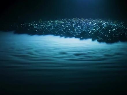 蓝色星球:科学家在海底6000米深处真的发现了“海绵宝宝”! #海洋生物 #海洋 #纪录片 #海绵宝宝