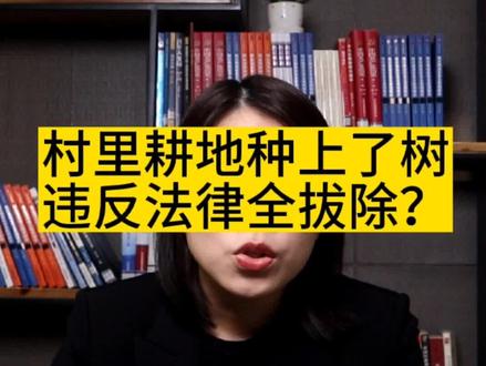 村里耕地种上了树,违反法律全拔除?#征地拆迁 #法律宣传 #农村土地 #房屋征收 #法律科普 #法律知识 #法律咨询