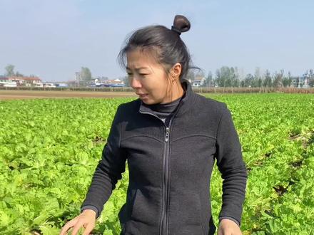 又一次炸白菜发面丸子卖#农村生活 #记录真实生活 #摆摊