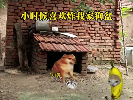 小时候爱炸狗盆#猫meme #炸狗盆 #放爆竹 #小时候的快乐很简单 #搞笑