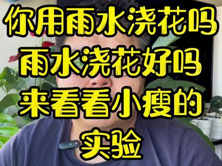 小瘦感觉雨水最大的好处就是相对纯净,室外养护的植物能更好的被大自然清洗叶片,改善土壤ph值,这也是南方雨量充沛,地表水和土都不会太碱的原因之一。而北方花友养南方植物,就需要考虑这个因素了,比如用PH值在4.5-5.5的品氏泥炭土,用中性过滤了的纯净水,最为稳妥。北方花友用硫酸亚铁改善土壤PH的办法,小瘦在两年前就不在使用了。#家庭养花#分享养花经验#养花小知识#花卉绿植#养花人