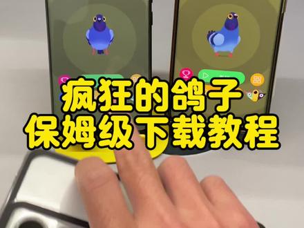 疯狂的鸽子怎么下载?疯狂的鸽子游戏下载教程,乱啄的鸽子游戏,鸽子啄玉米游戏。#疯狂的鸽子 #pigeonpop #游戏 #疯狂的鸽子游戏 #疯狂的鸽子