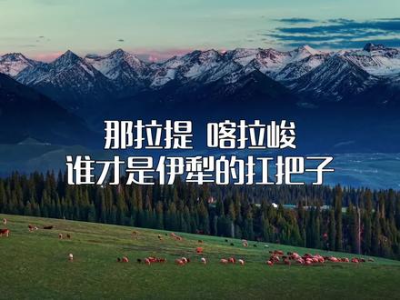 那拉提 喀拉峻 谁才是伊犁河谷的扛把子呢?咱们评论区来探讨一 一下哈!#旅行大玩家 #旅拍摄影师亮仔 #那拉提#喀拉峻#新疆领队亮仔
