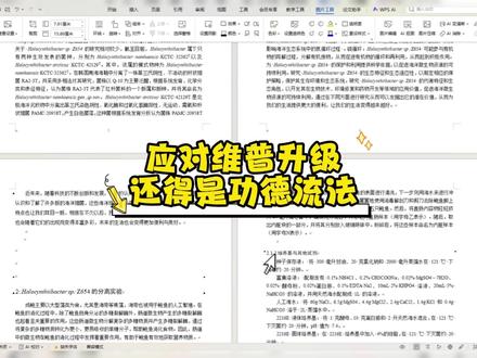 应对维普升级,还得用功德流啊 #初稿 #paperxie #大四 #应届毕业生