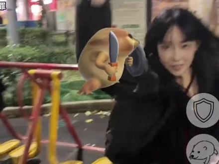 猫咪和狗狗能感知“我得刀盾”特效,到底是什么原理?#科普 #整活