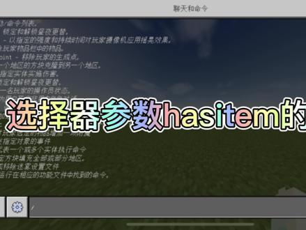 #我的世界 我的世界指令教学!选择器参数hasitem的运用!服务器必备指令!#mc不灭 #我的世界指令