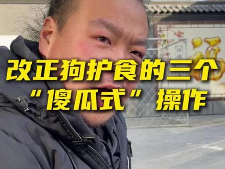 别让你的爱变成“护食”的导火索!狗狗吃饭翻脸低吼,3步让它重新信任你!#狗狗 #训犬 #狗护食 #养狗人 #养狗经验分享