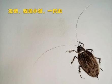学画蟑螂小强😱😱